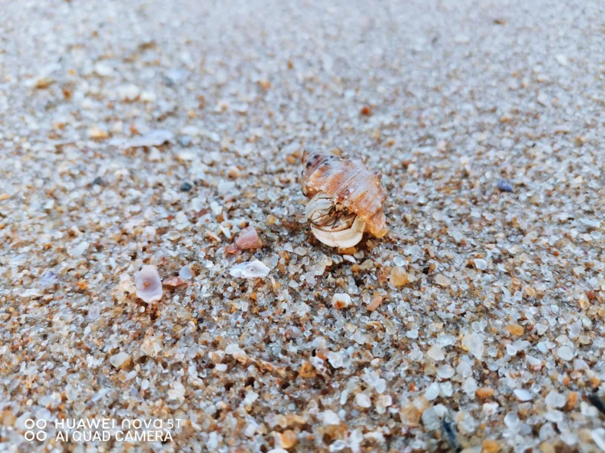 Sheen Holiday Resort 坦加拉 外观 照片